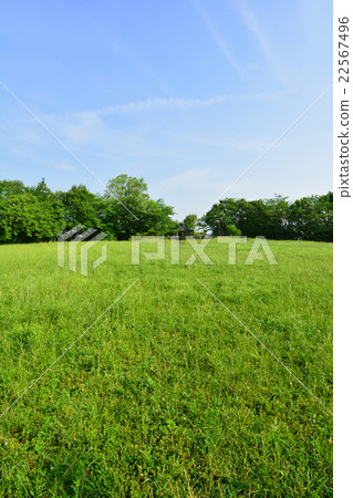 Ushikubo Park 22567496