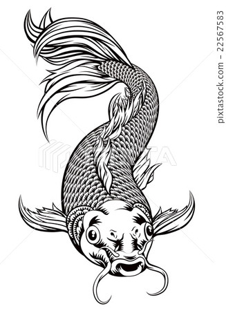 Koi Carp Fish Koi Carp Fish 22567583