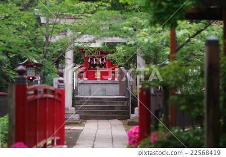 A company belonging to Tomioka Hachimangu Shrine · Shichi-dake shrine A company belonging to Tomioka Hachimangu Shrine · Shichi-dake shrine 22568419