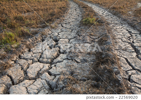 soil drought cracked texture on field 22569020