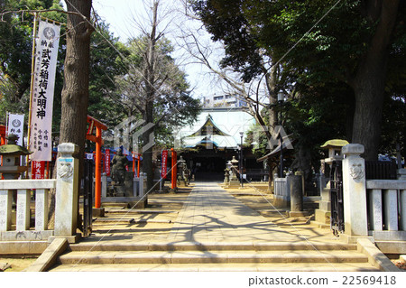 Devil goddess Devil goddess 22569418