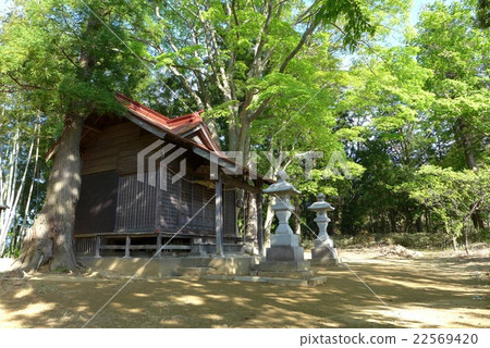 Sugawara Shrine in Nihonmatsu 22569420