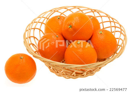 紅色瘋狂 22569477