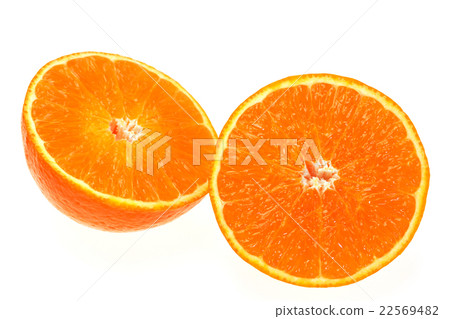 Red Madness 22569482