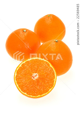 Red Madness 22569485