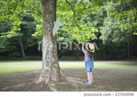 Girl taking insects 22569896