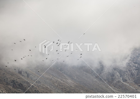 The panorama of mountain landscape of Ala-Archa 22570401