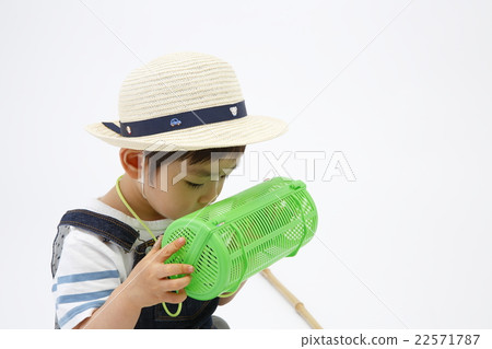 Insect collecting Insect collecting 22571787