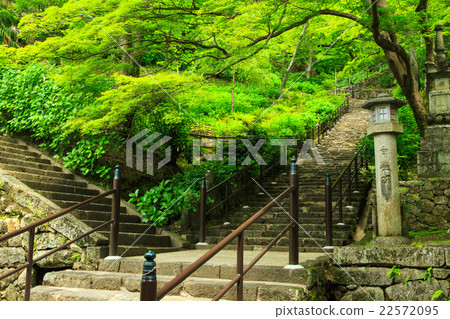 Hasegaji of fresh green Hasegaji of fresh green 22572095