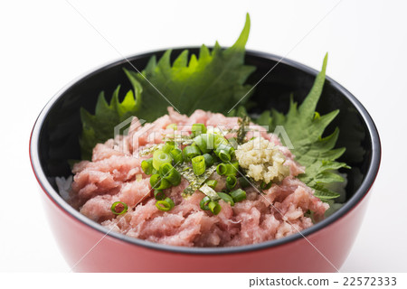 Negitoro on a bowl 22572333