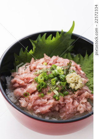 Negitoro on a bowl 22572334