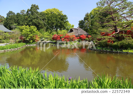 Umehimi Shrine of Kyoto early summer Umehimi Shrine of Kyoto early summer 22572349