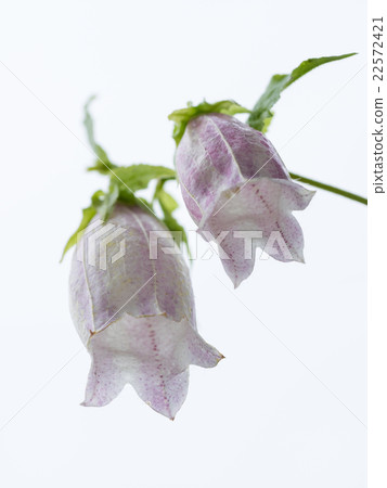 Light pink shiny bag 22572421