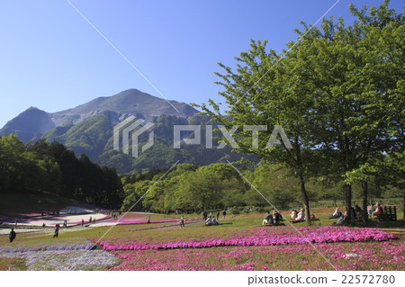 Early morning at Hitsujiyama Park's Moss Phlox Hill and Mount Buko (Chichibu City, Saitama Prefecture) Early morning at Hitsujiyama Park's Moss Phlox Hill and Mount Buko (Chichibu City, Saitama Prefecture) 22572780