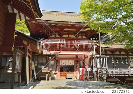Daisyama神社花門 22572871