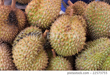 Group of raw durian in the market 22573755