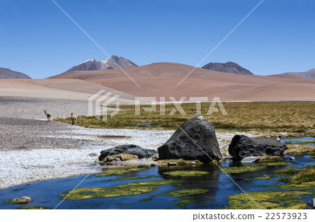 Road through the Andes near Paso Jama 22573923