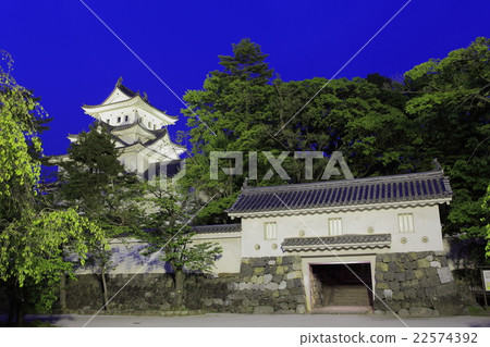 Ogaki Castle Night view 22574392