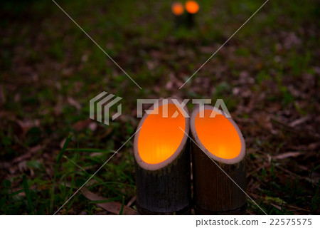 竹燈籠晚上 22575575