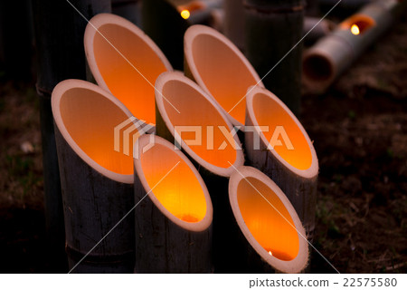 竹燈籠晚上 22575580