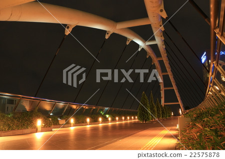 Omiya Honakobigi Bridge at night 22575878