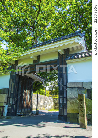 Kitanomaru Park Tananmon 22575956