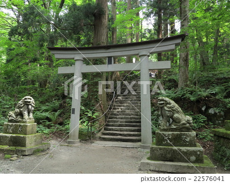 十和田神社鳥居 十和田神社鳥居 22576041
