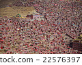 Gomi Buddhist Academy 5 22576397