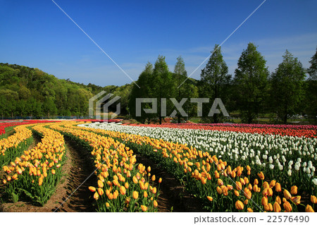 Cutting field 2220 22576490