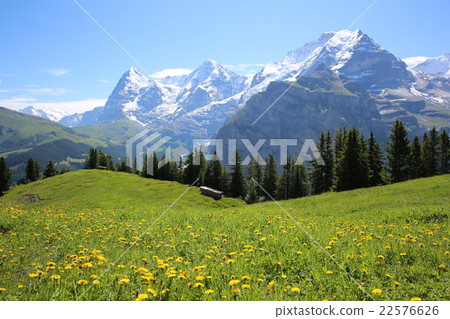 Swiss Alps Miyama 22576626