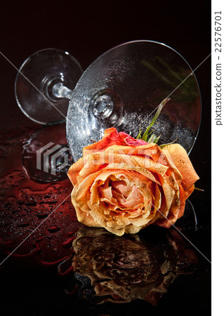 Rose And Glass 22576701