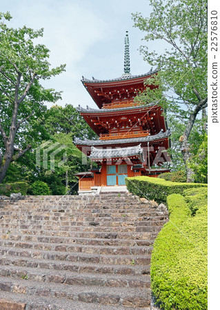 Homematsu Homaretoji semi-monk Homematsu Homaretoji semi-monk 22576810