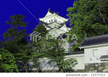 Ogaki Castle Night view 22577327