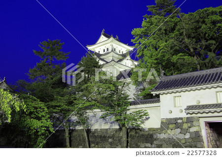 Ogaki Castle Night view Ogaki Castle Night view 22577328