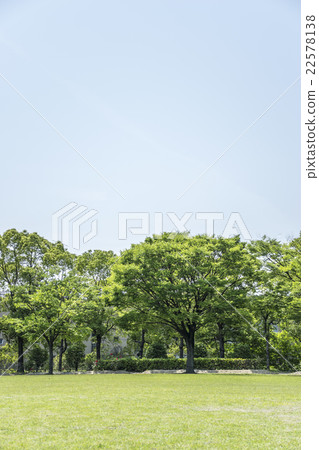 Green park to see Keeki's grove 22578138