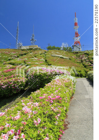 Yamaguchi Prefecture Hofu Ohiriraye Azalea Azalea Festival 22578190