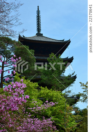 Kyoto Oimure Ninnaji Temple Five-storied Pagoda (2016.4) 22578641