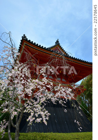 Kyoto Omerimonnakaji Bell Tower (2016.4) 22578645