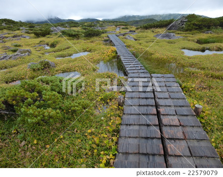 Walking along Unzenori Walking along Unzenori 22579079