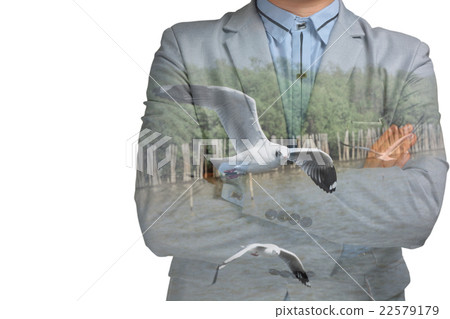 Businessman and Seagull Flying at the Mangrove 22579179