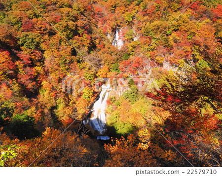 秋葉霧秋天瀑布 秋葉霧秋天瀑布 22579710