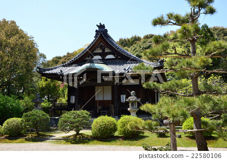 Akishisonji Omoto（2016.4） 22580106