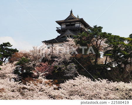 櫻花丸岡城堡 22580419