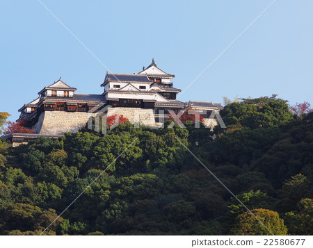 Matsuyama castle in autumn 22580677