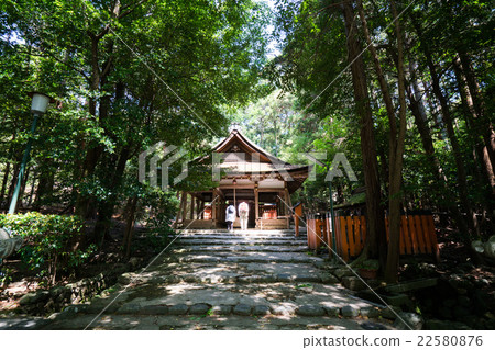 Ota shrine of fresh green (landscape of Kyoto) 22580876