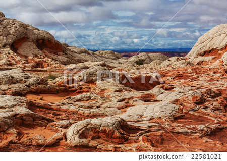 White pocket 22581021