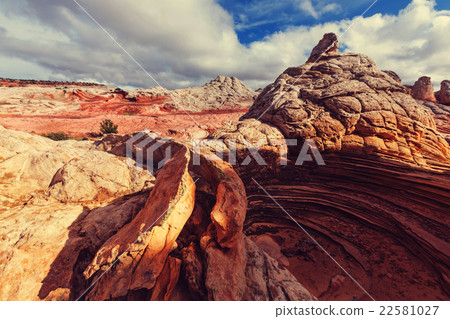 White pocket 22581027