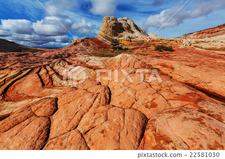 White pocket 22581030