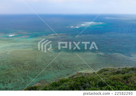 沖繩縣果子女用披巾看法 22582293