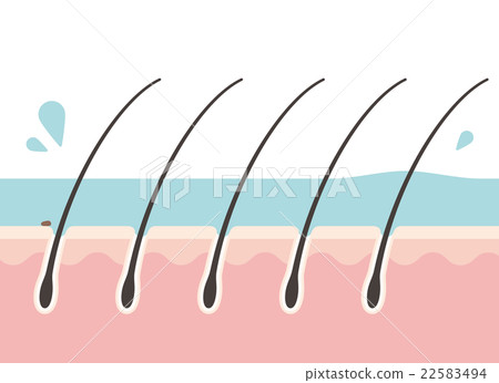 Scalp during rinse 22583494